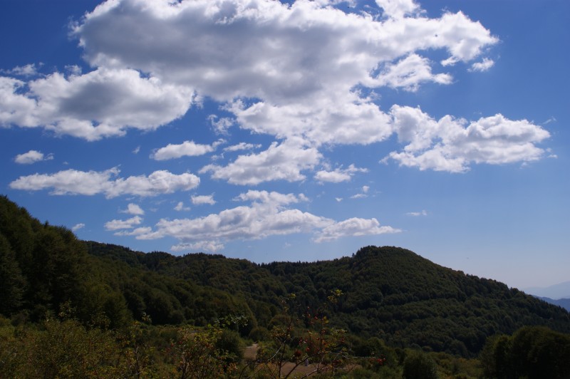 DSC03539.JPG