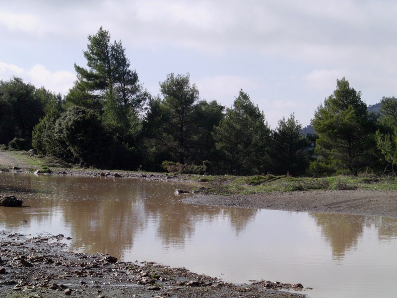 IMAG0048.jpg