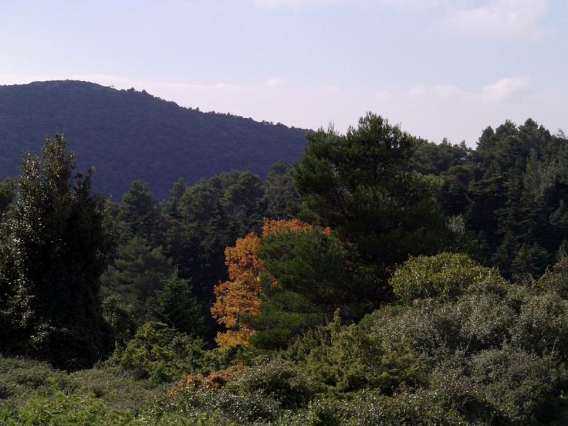 IMAG0021.jpg