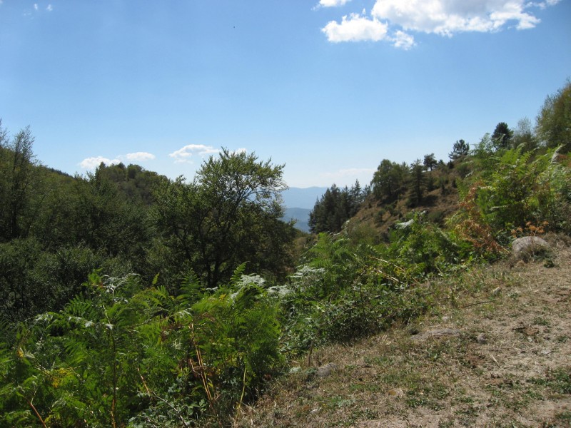 IMG_4441.JPG