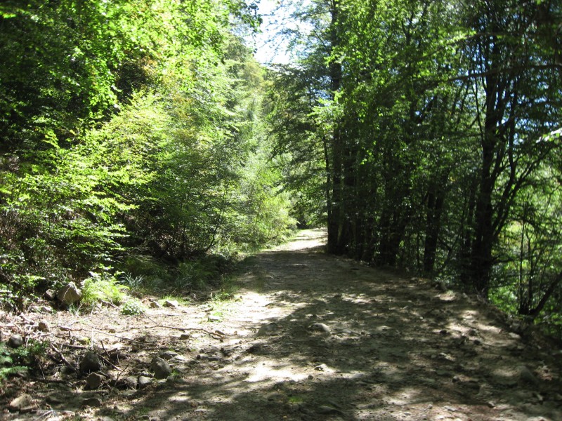 IMG_4442.JPG