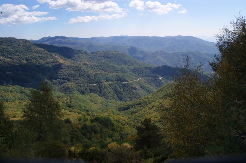 DSC03545.JPG