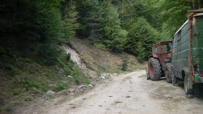 SANY0010.JPG
