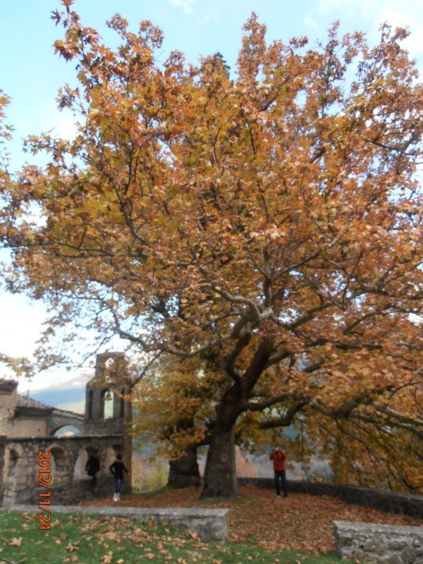PB240019.jpg