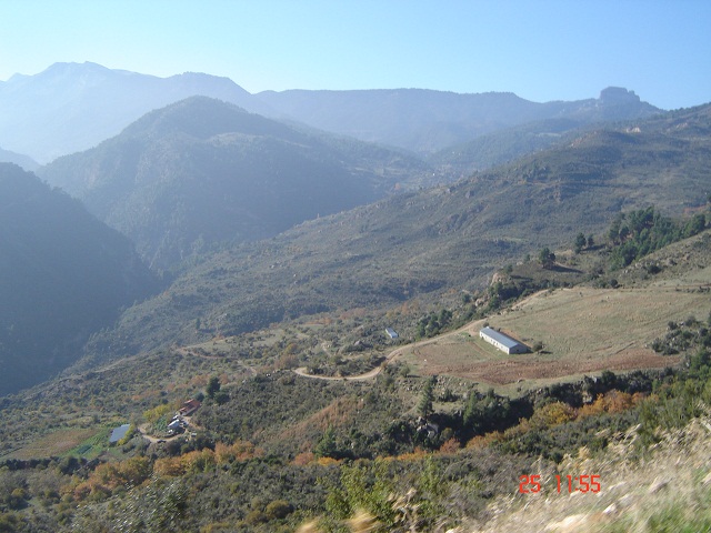 DSC05675.JPG