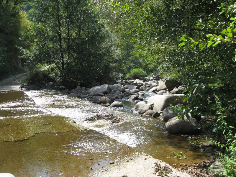 IMG_4449.JPG