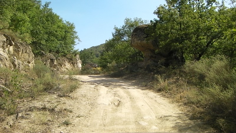 SANY0017.JPG