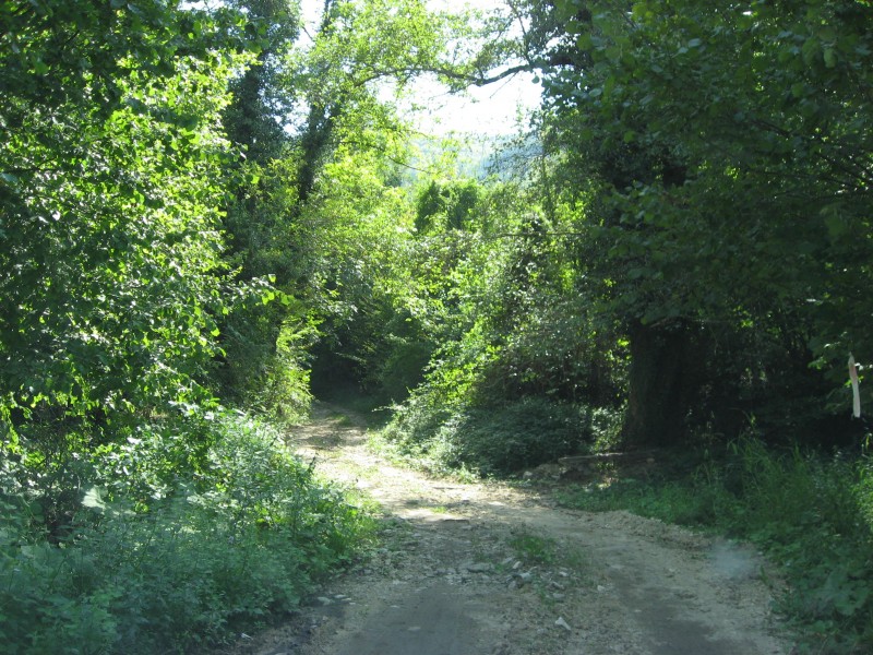 IMG_4454.JPG