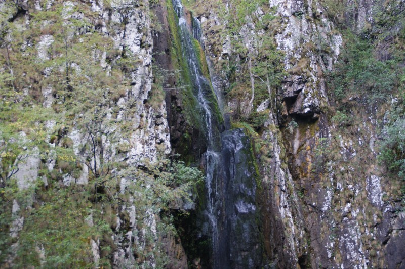 DSC03569.JPG