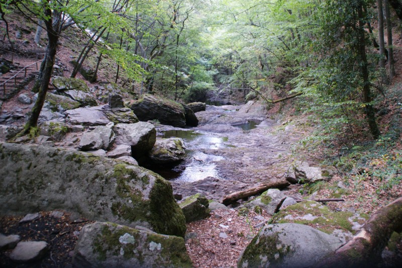 DSC03585.JPG
