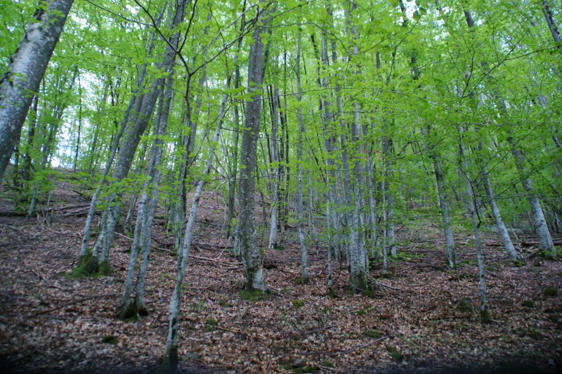 DSC03587.JPG