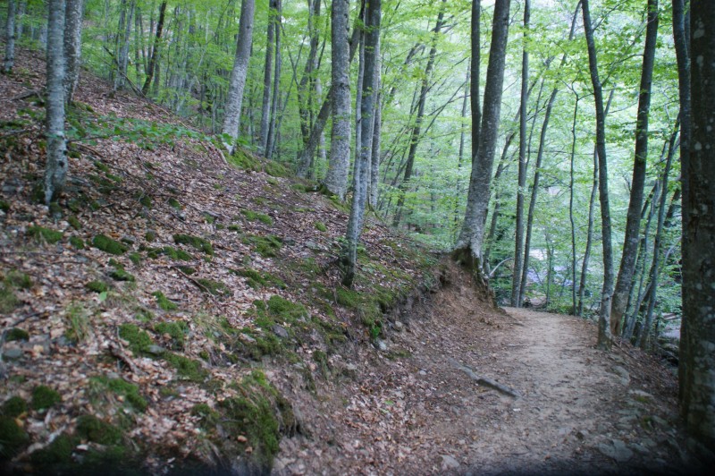 DSC03589.JPG
