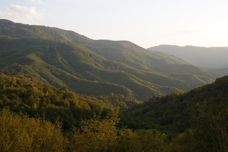 DSC03604.JPG