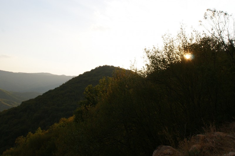 DSC03610.JPG