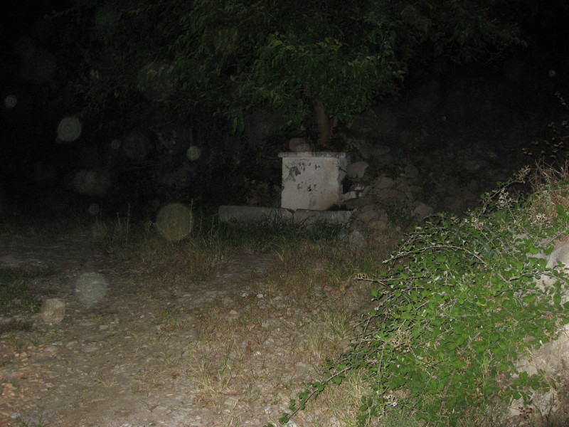 IMG_4479.JPG