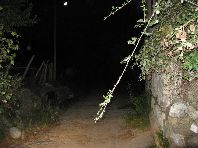 IMG_4480.JPG