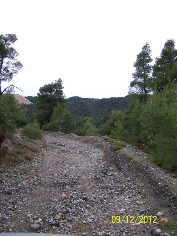 100_2710_tn.jpg