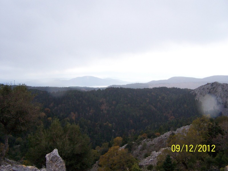 100_2726_tn.jpg