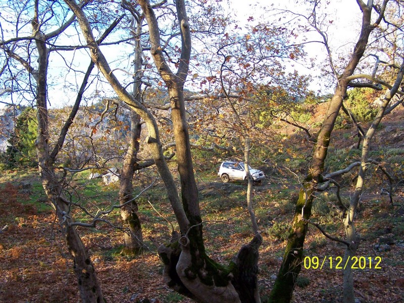 100_2767_tn.jpg