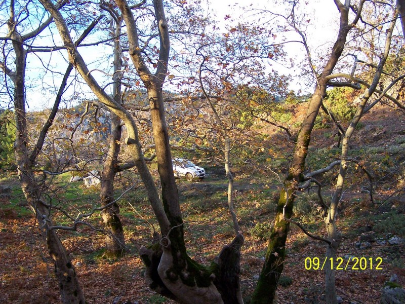 100_2768_tn.jpg