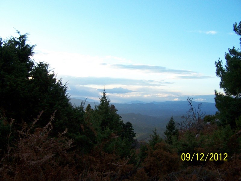100_2772_tn.jpg