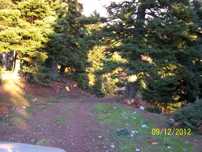100_2777_tn.jpg