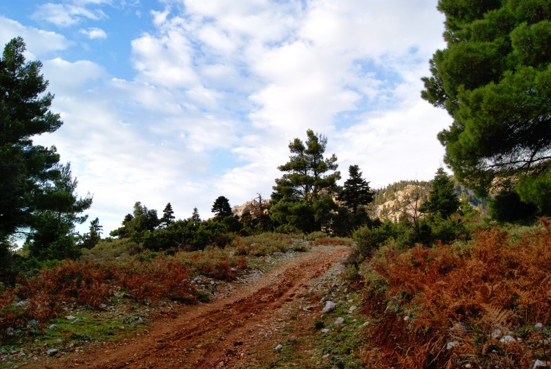 DSC05725.jpg