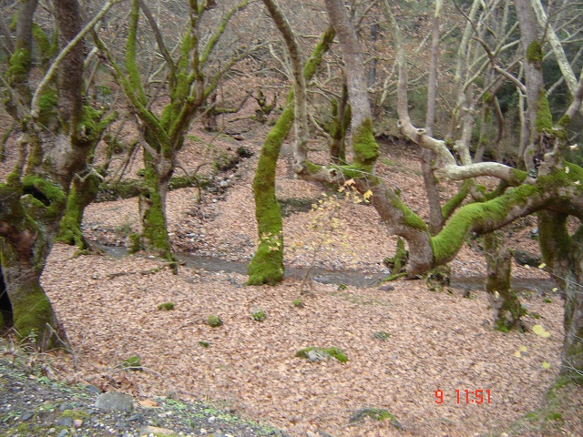 DSC05731.JPG