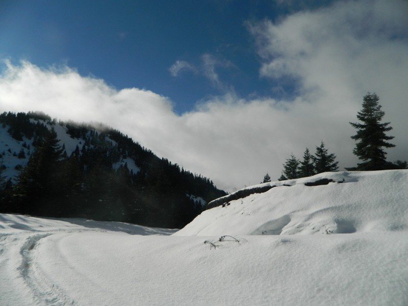 DSCN4198.JPG