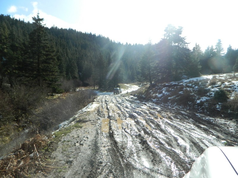 DSCN4291.JPG