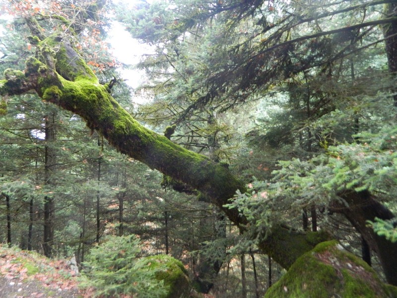 DSCN4408.JPG