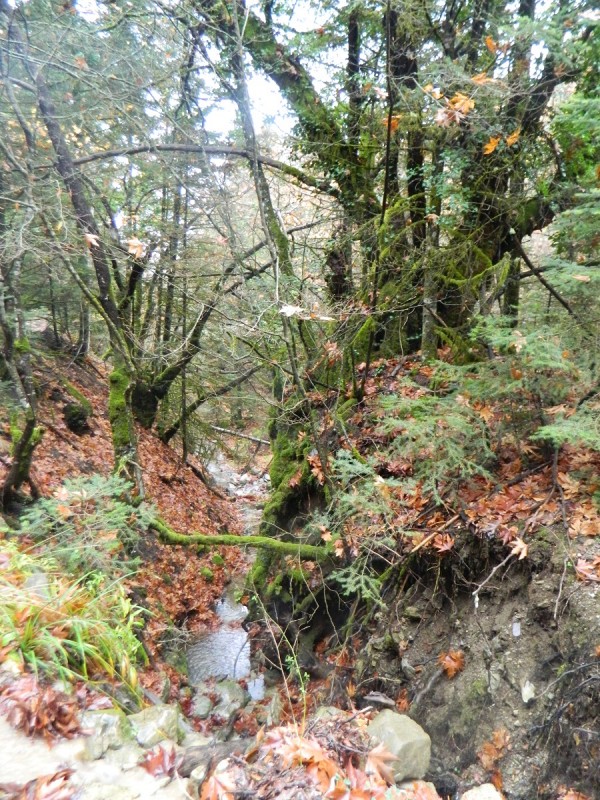 DSCN4503.JPG