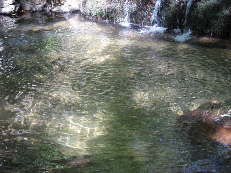 Αντίγραφο από IMG_4500.JPG