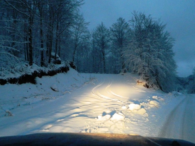 DSCN4627.JPG