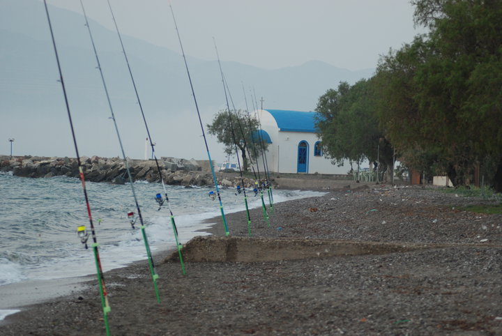απλωνω λιγα καλαμια στην παραλια και ξεκιναμε.....jpg
