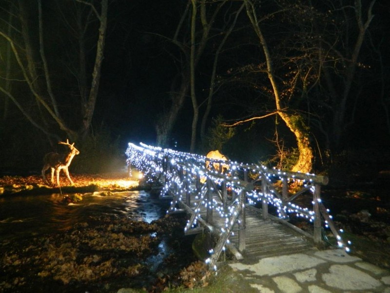 DSCN4802.JPG