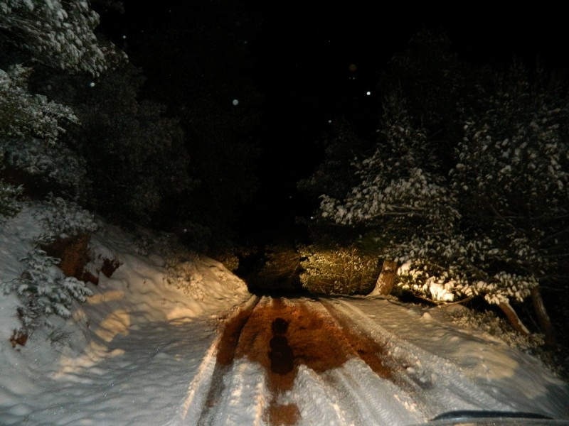DSCN4851.JPG