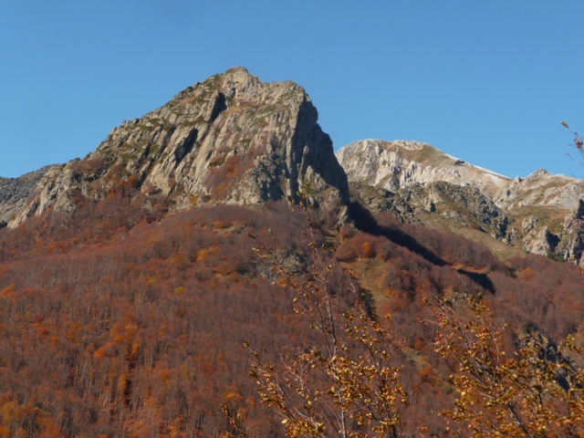 P1230286.JPG