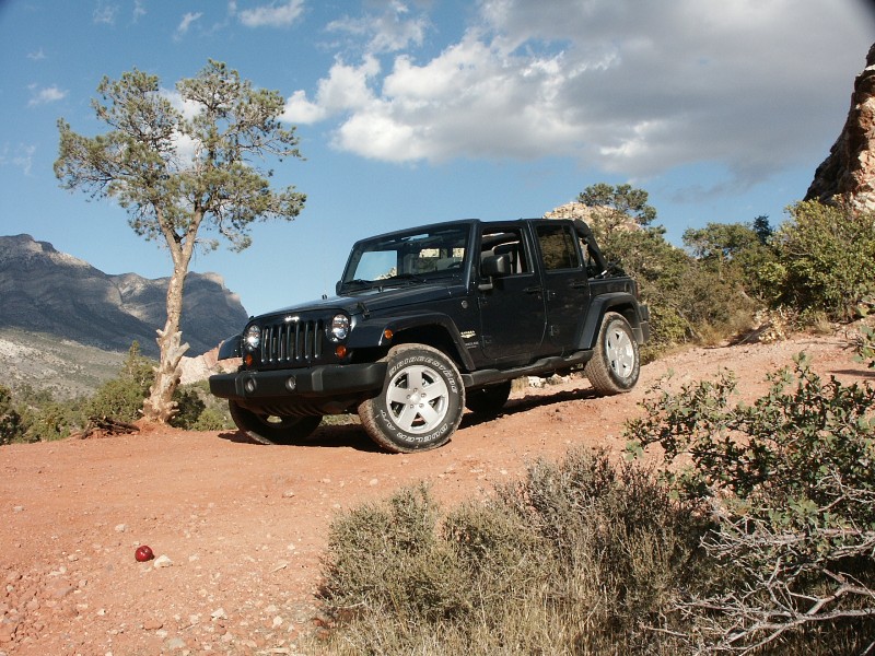 2008_jeep_wrangler_4_dr_unlimited_sahara-pic-51874.jpeg