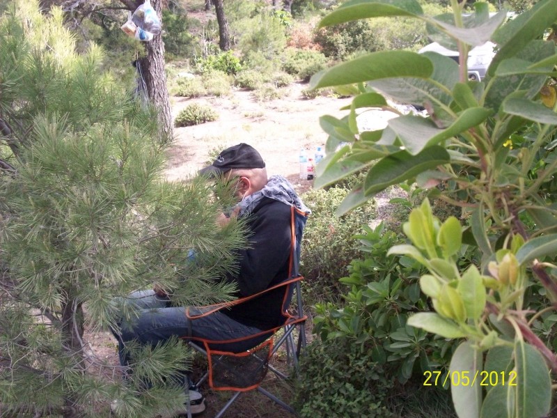100_4121 (Αντιγραφή).JPG