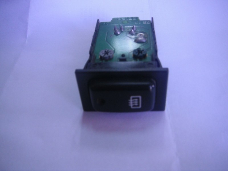 DSCF1595.JPG