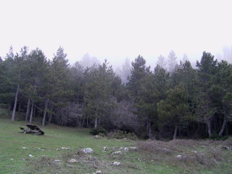 IMAG0012.jpg