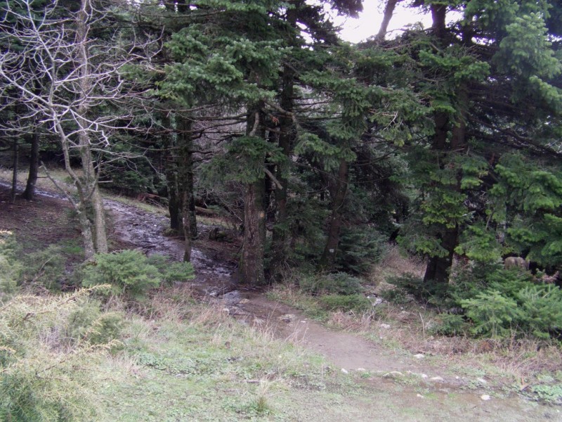 IMAG0018.jpg