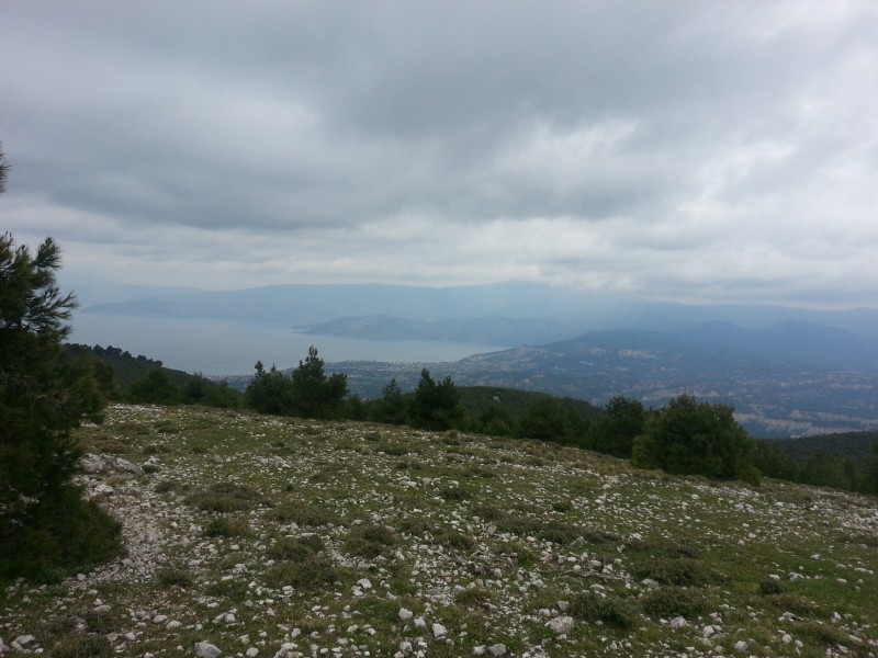 20130318_111218.jpg