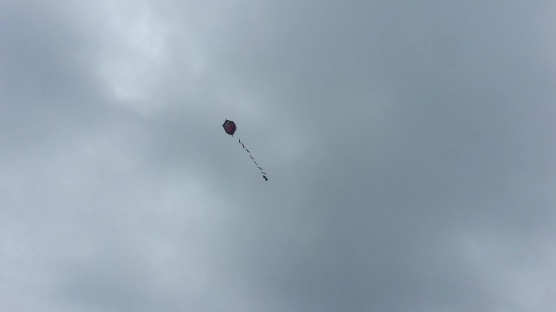 CI169932780830286852.jpg