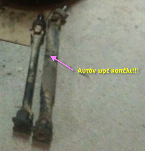 akson.jpg