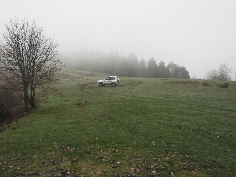 DSCF1430.jpg