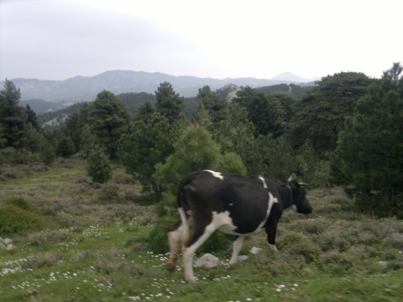 31032013543.jpg