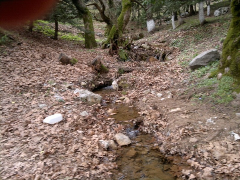 31032013553.jpg