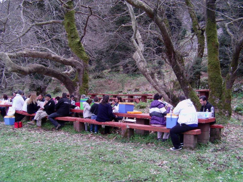 Evia 31.3.13 (27).jpg